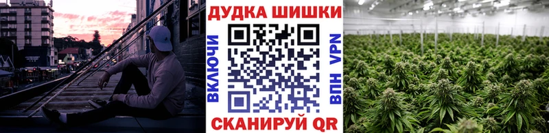 Где купить наркотики Терек МАРИХУАНА МДМА ГАШ КОКАИН Галлюциногенные грибы