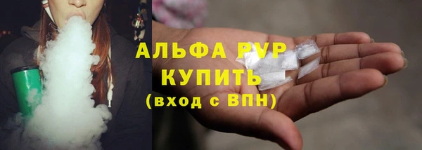 прущие грибы Арсеньев